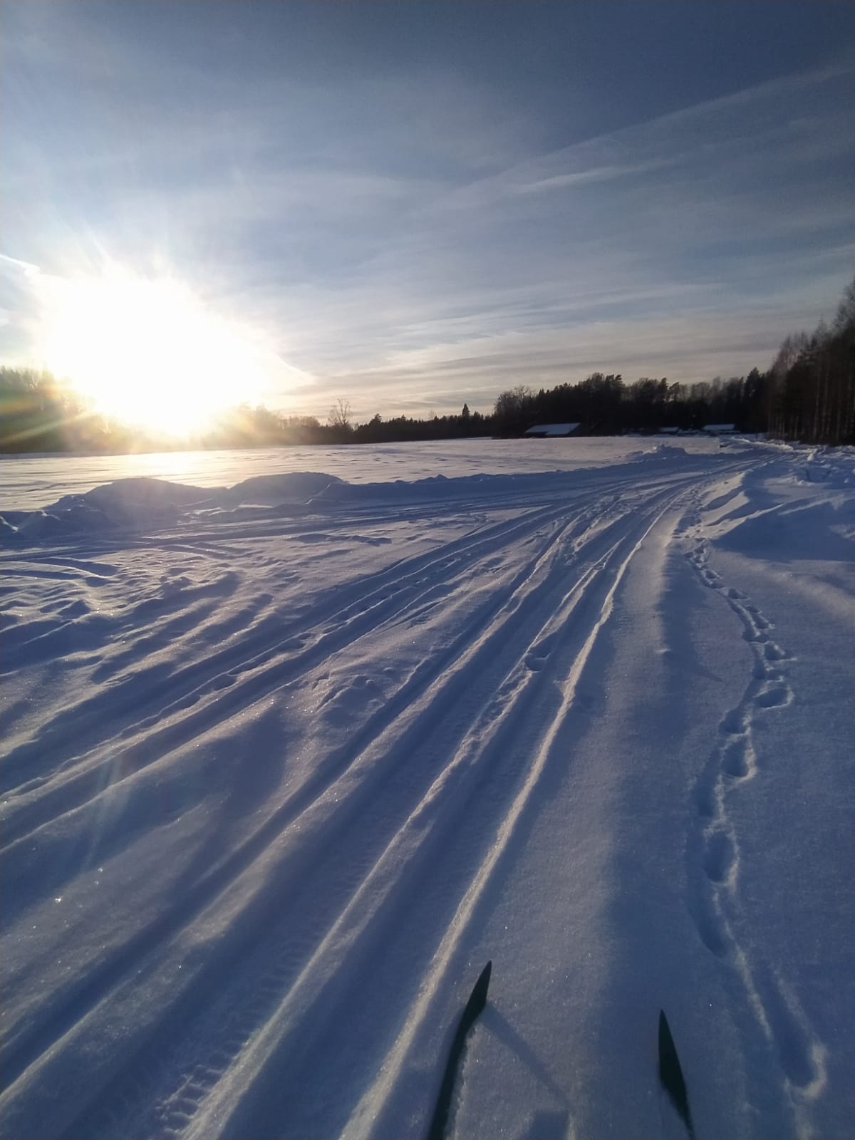 Sniegotais Birzgales ceļš