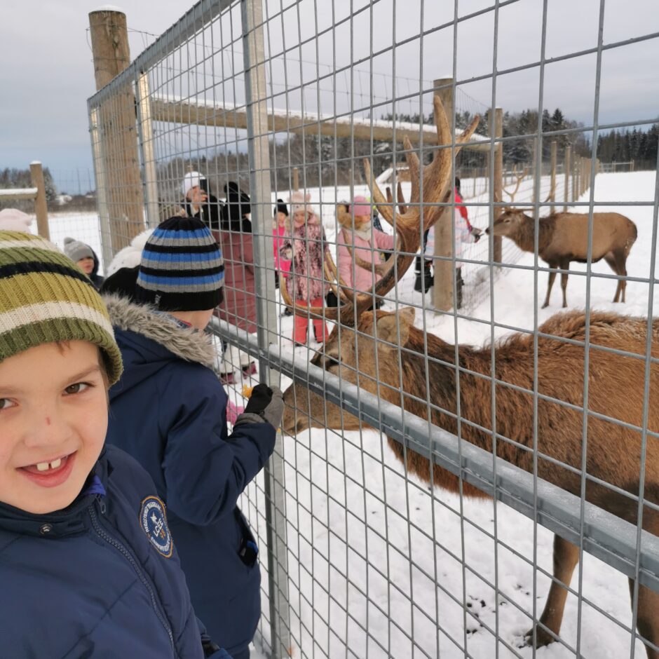 Birzgales pamatskolas skolēni briežu dārzā 