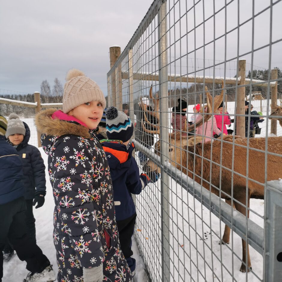 Birzgales pamatskolas skolēni briežu dārzā 