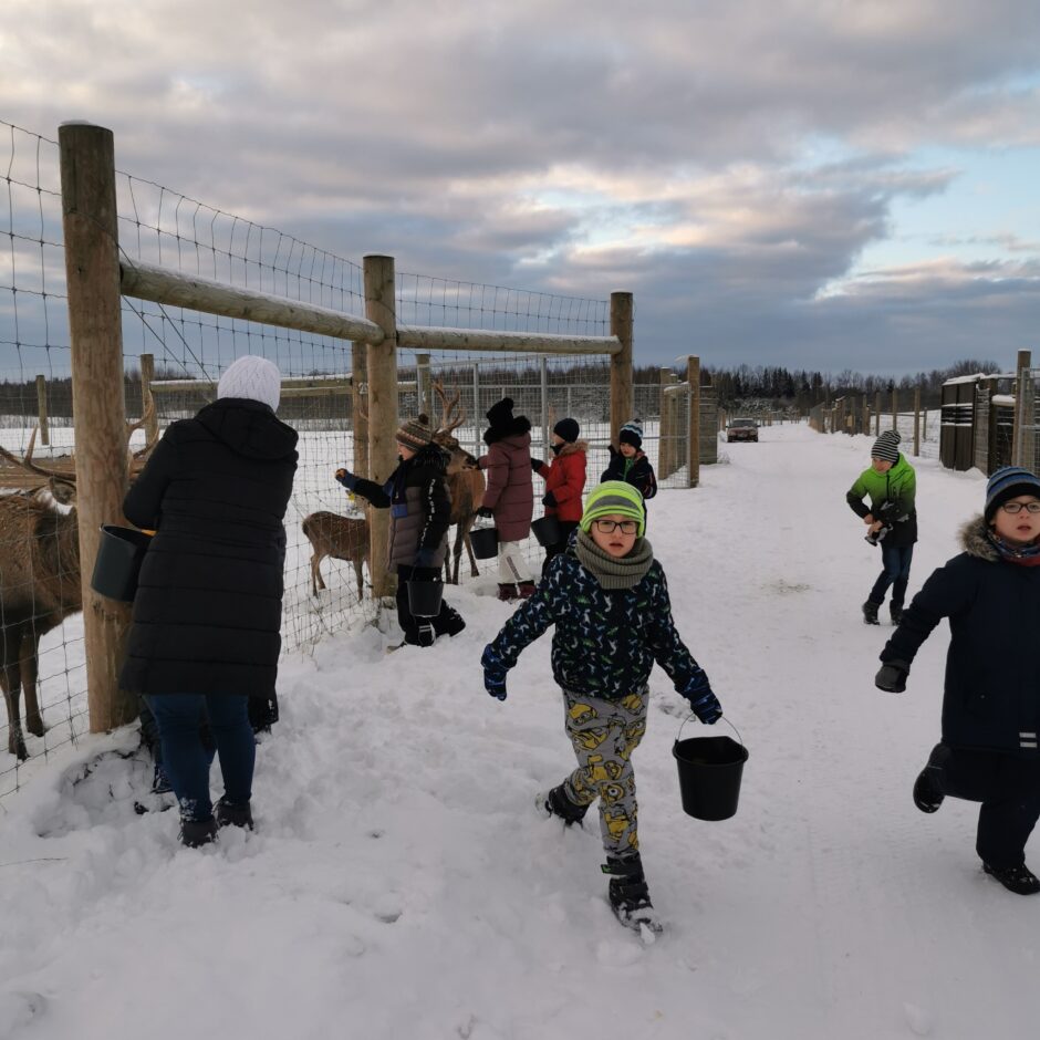 Birzgales pamatskolas skolēni briežu dārzā 