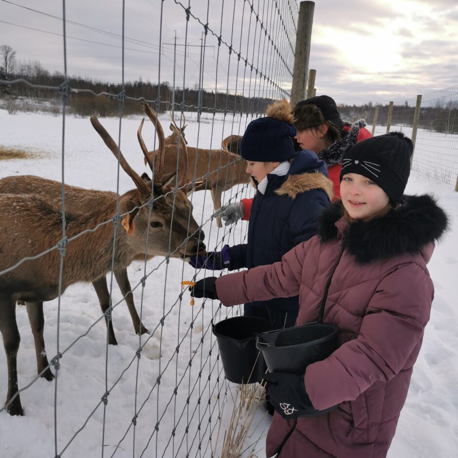 Birzgales pamatskolas skolēni briežu dārzā 