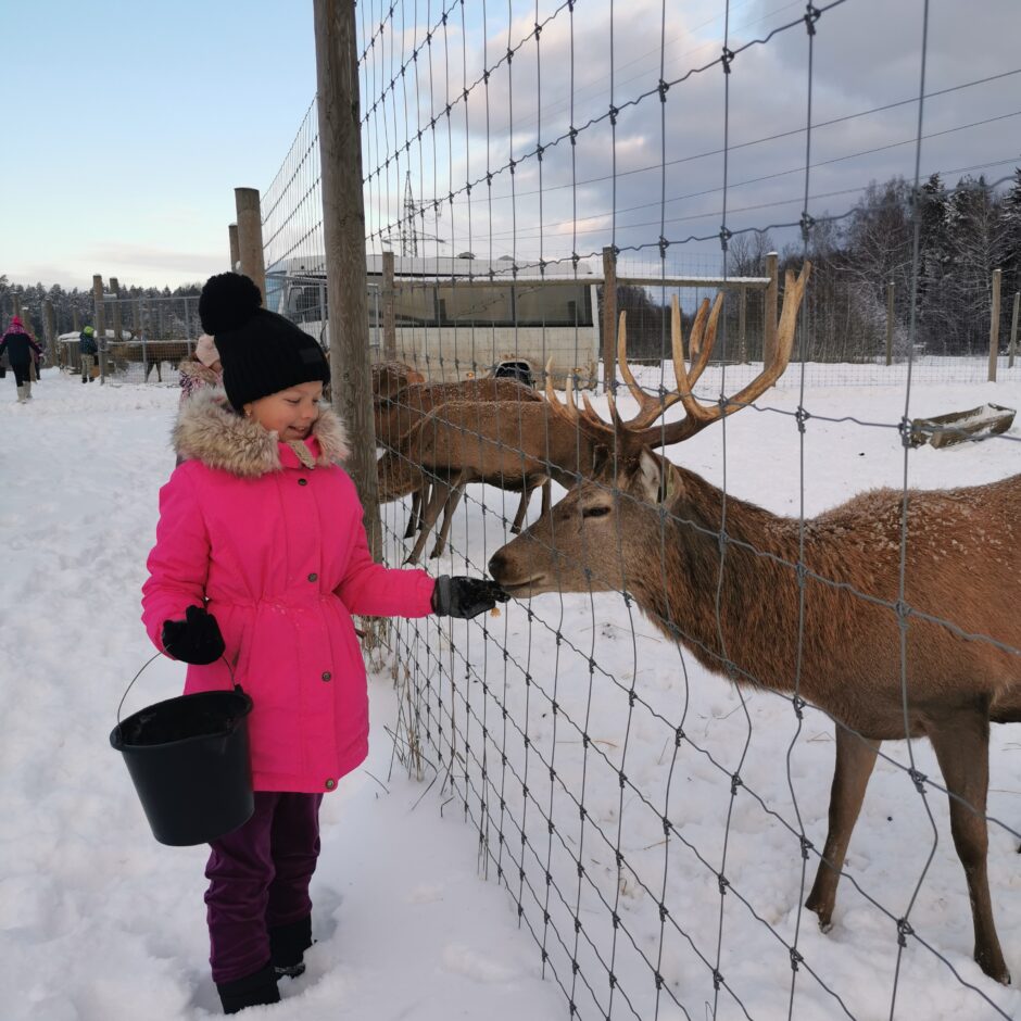 Birzgales pamatskolas skolēni briežu dārzā 