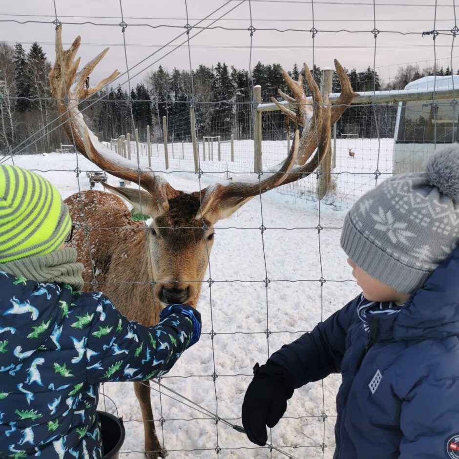 Birzgales pamatskolas skolēni briežu dārzā 