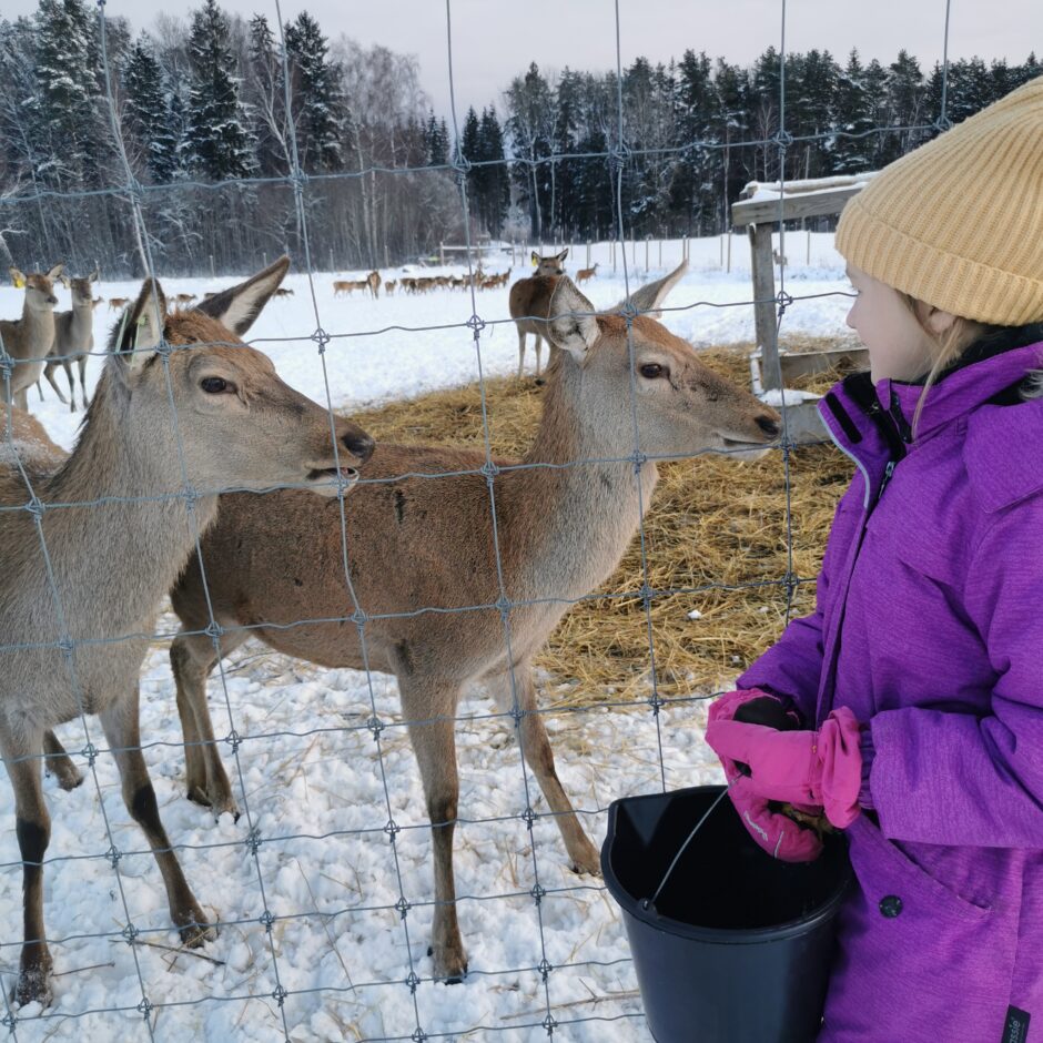 Birzgales pamatskolas skolēni briežu dārzā 