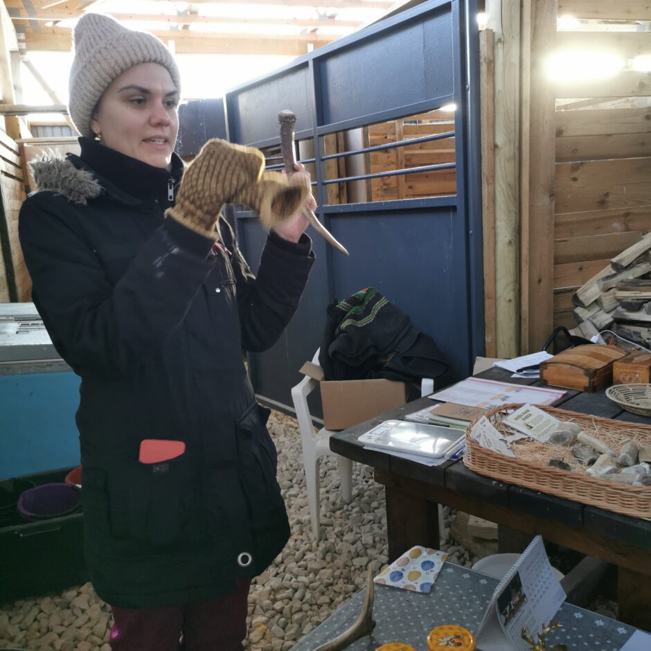 Birzgales pamatskolas skolēni briežu dārzā 