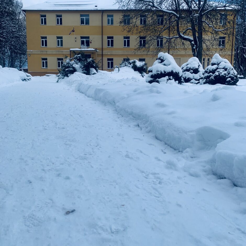 Birzgales skolas ziemā