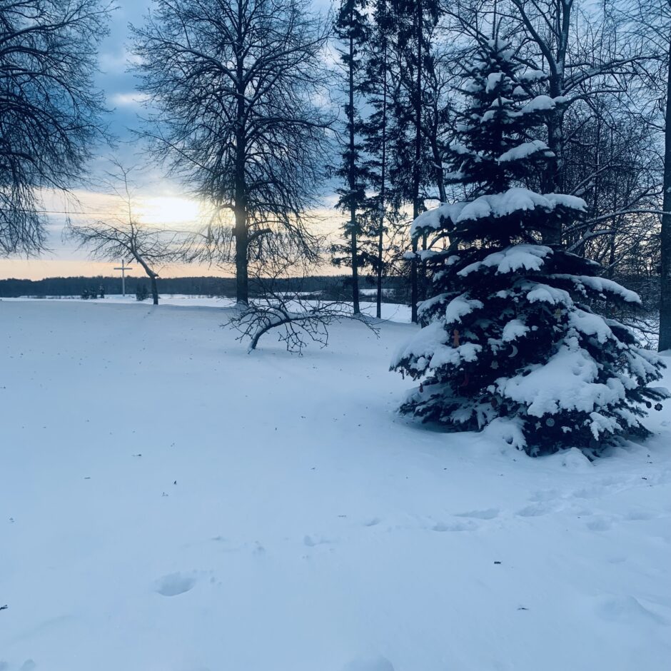 Birzgales pamatskola ziemā