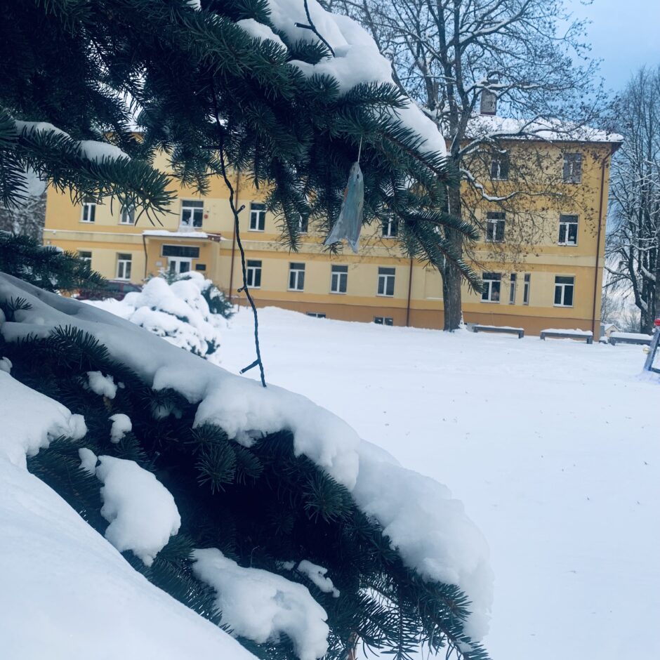 Birzgales skolas ziemā