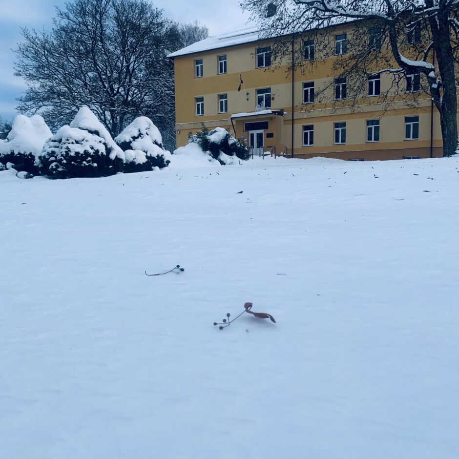 Birzgales skolas ziemā