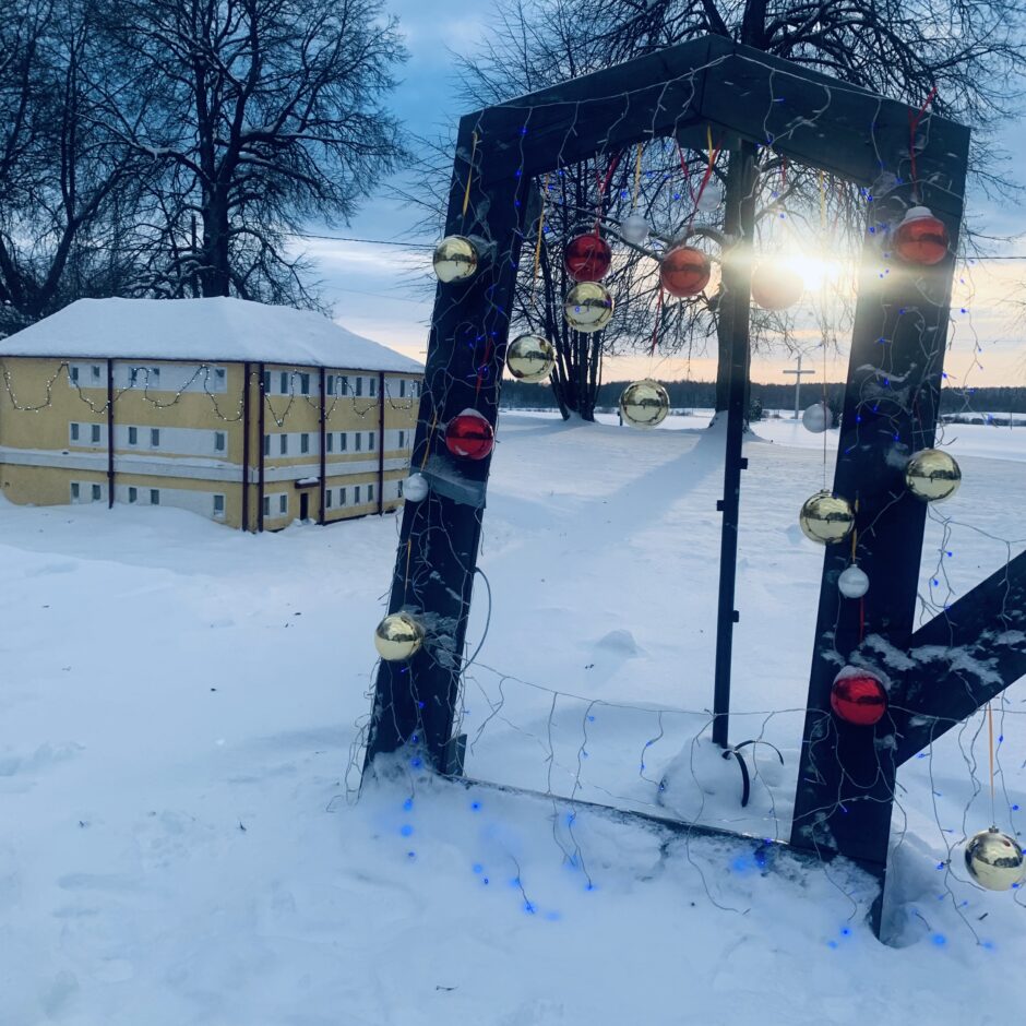 Birzgales skolas ziemā