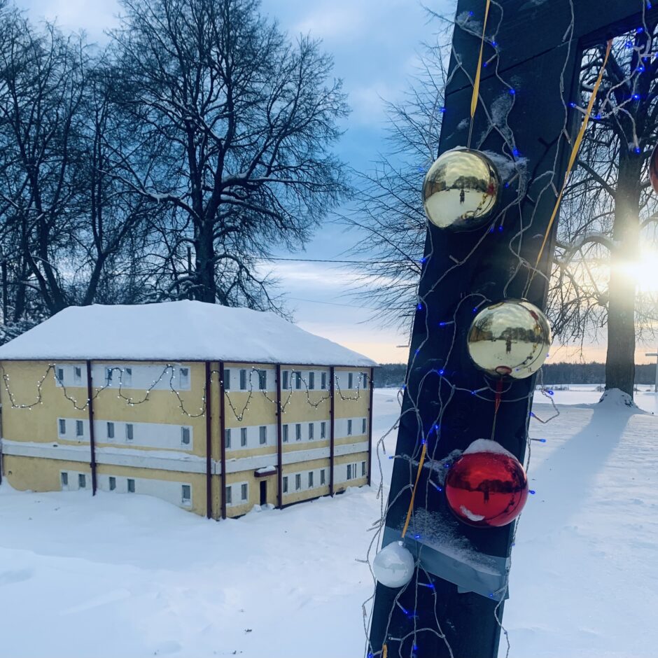 Birzgales skolas ziemā