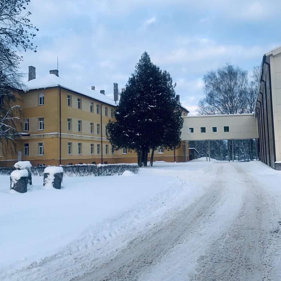 Birzgales pamatskola