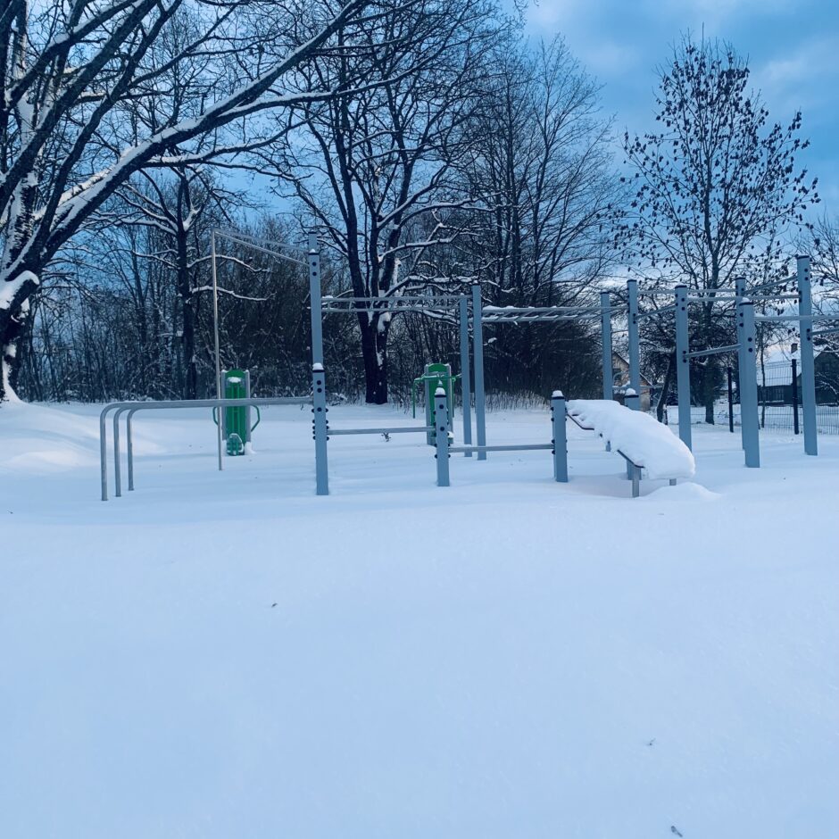 Birzgales skolas ziemā