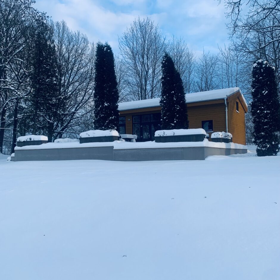 Birzgales skolas ziemā