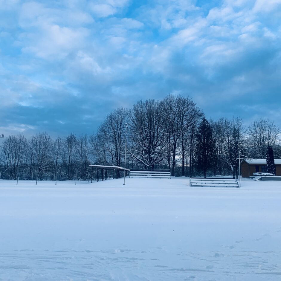 Birzgales skolas ziemā