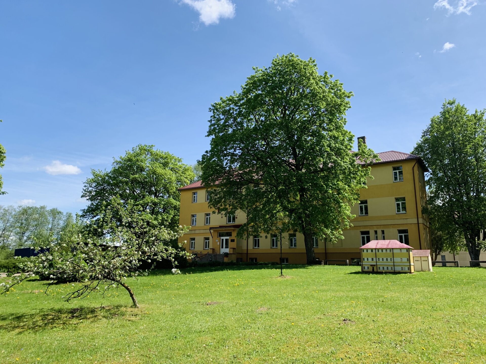 Birzgales pamatskola