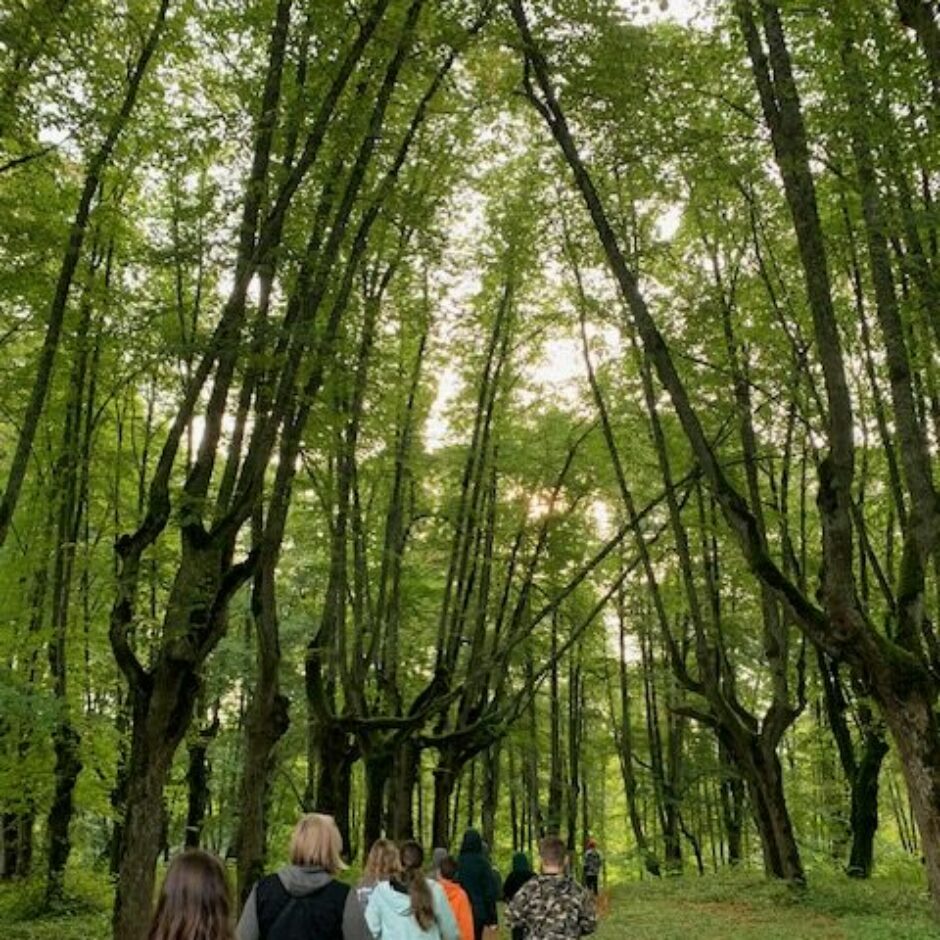 Sociālo zinību un vēstures stunda