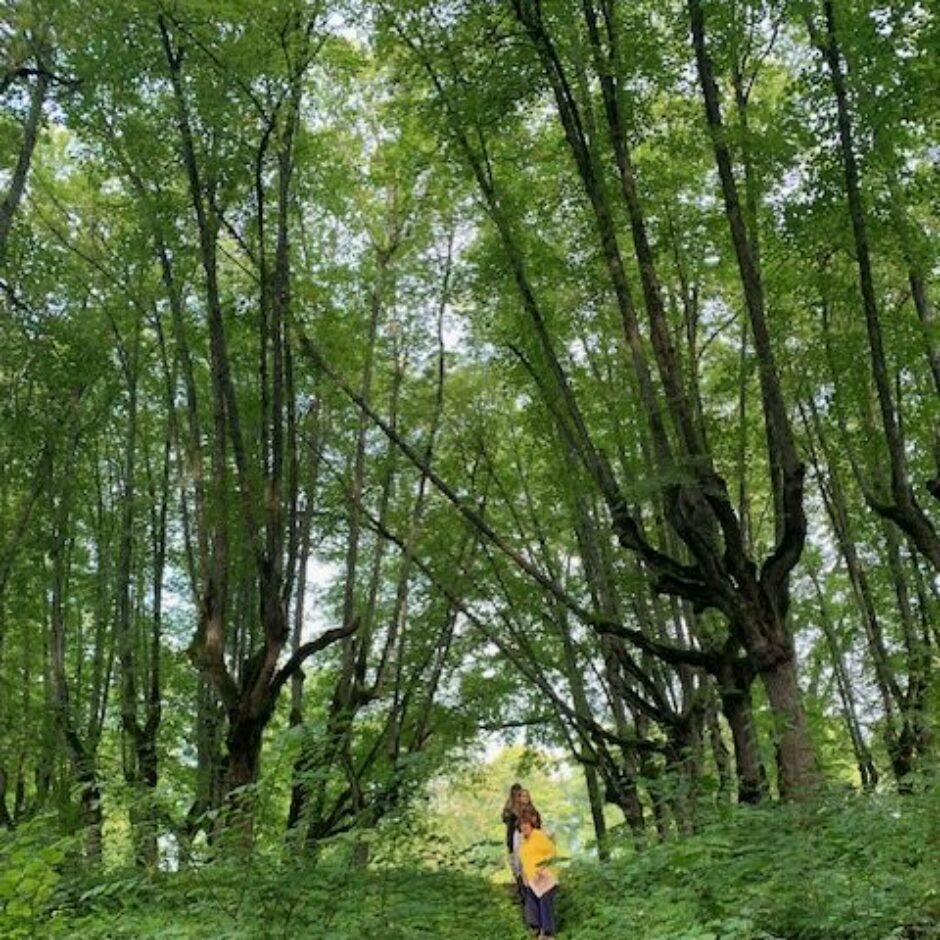 Sociālo zinību un vēstures stunda
