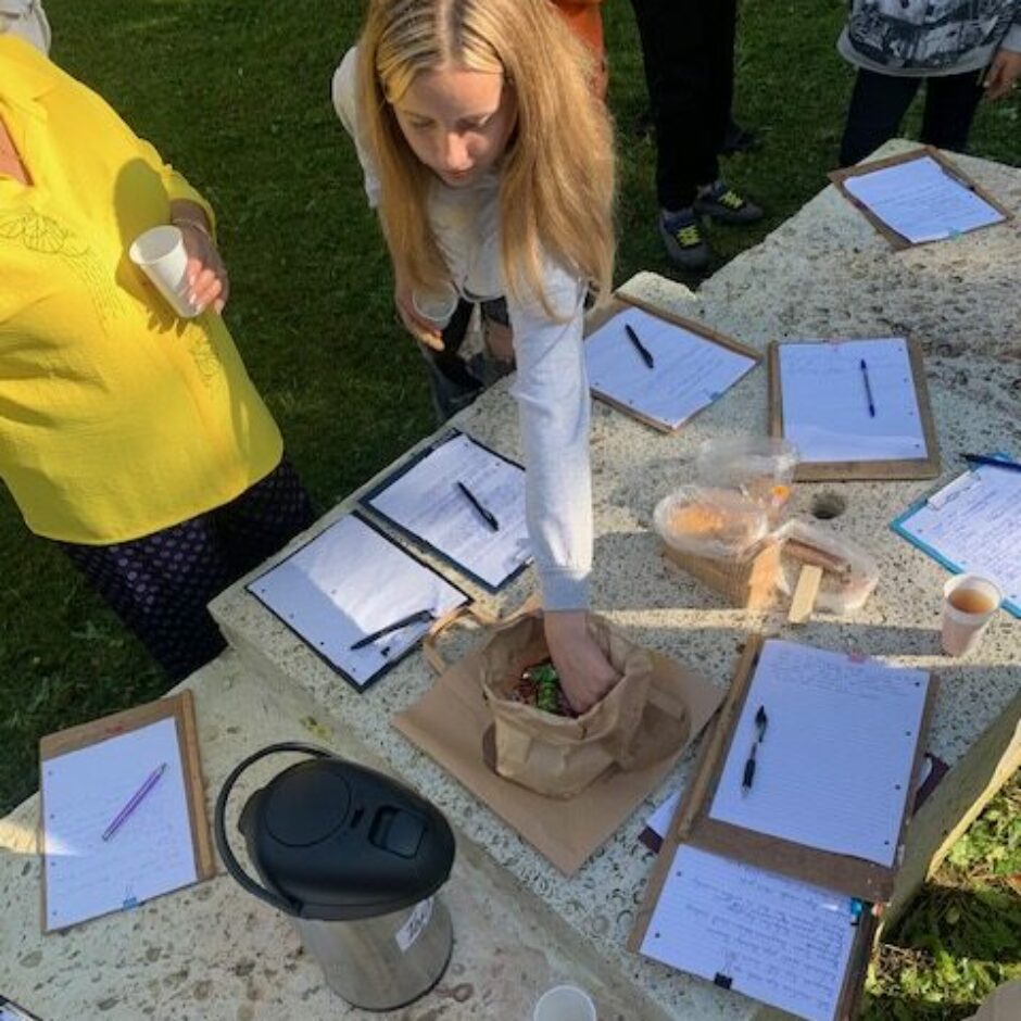 Sociālo zinību un vēstures stunda