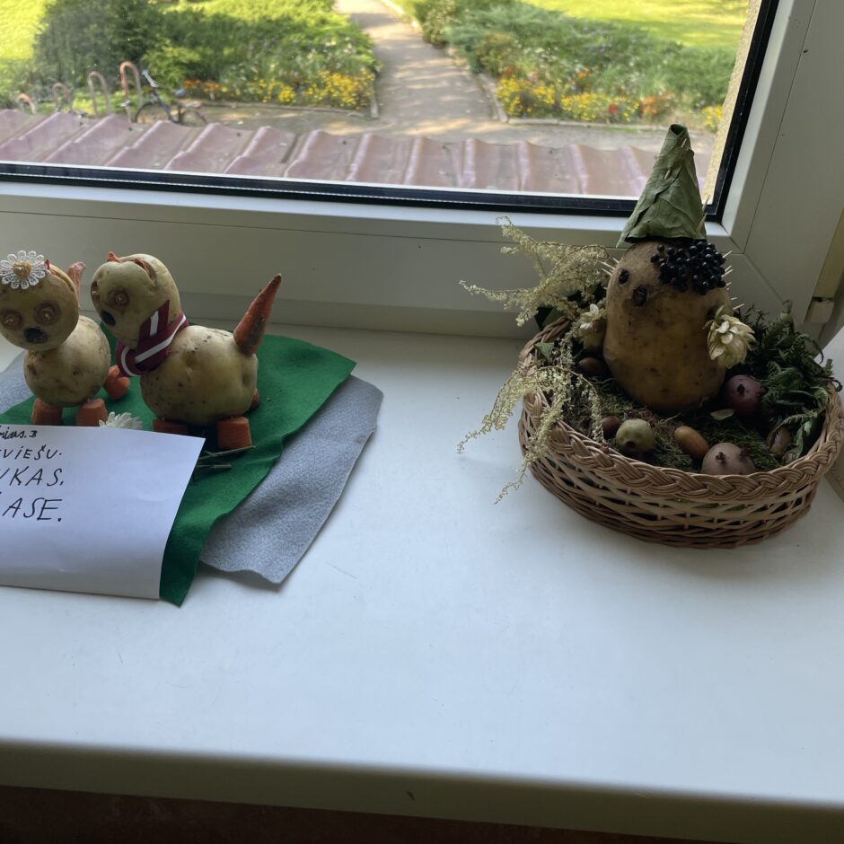 Rudens kompozīcijas