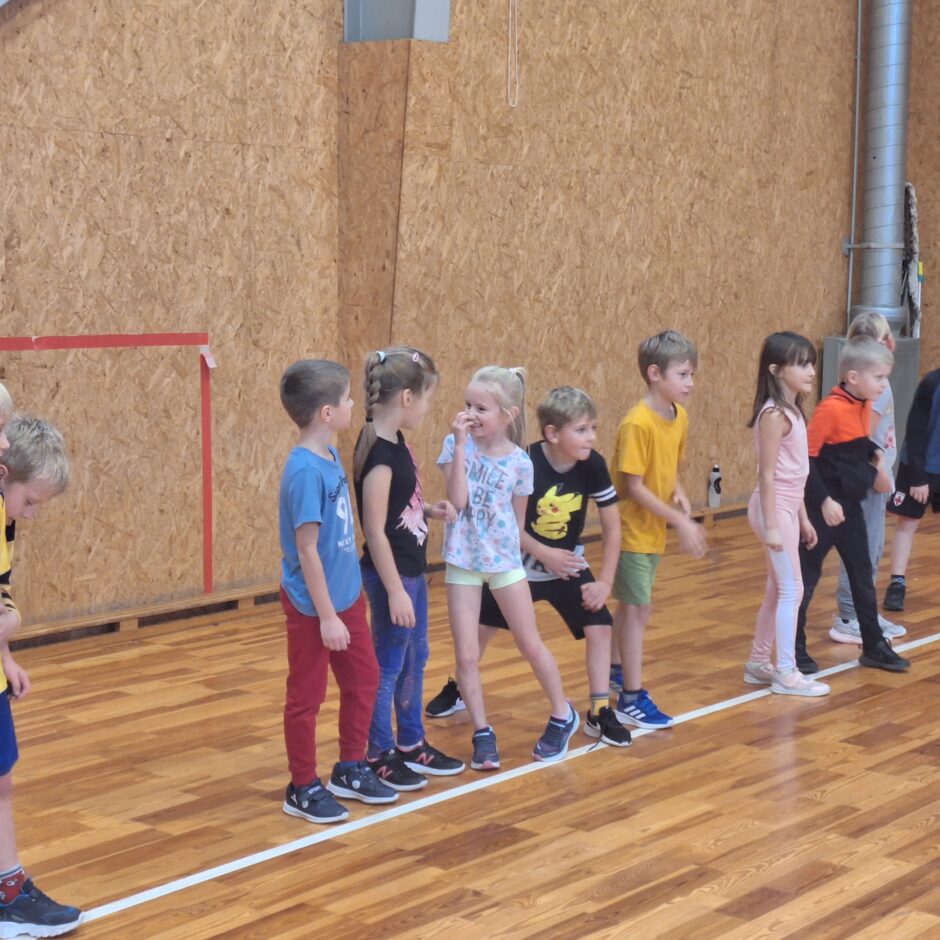 Dodžbola sacensības