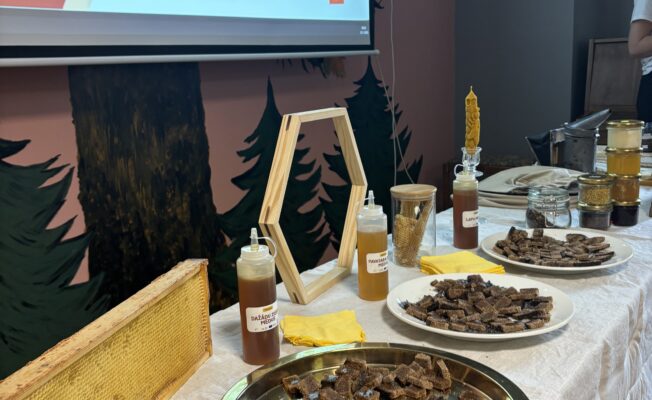 Eiropas medus brokastis