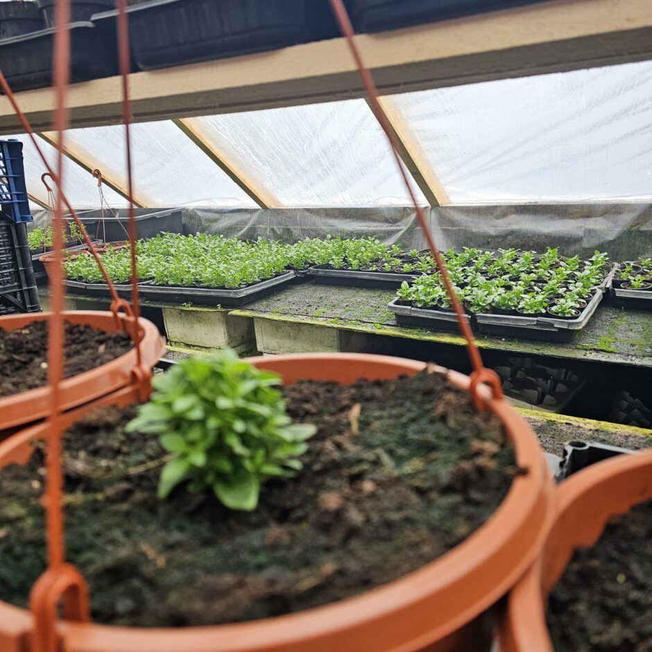 Skolēni dārzniecībā 