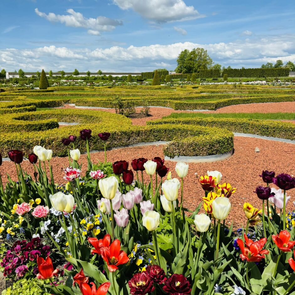 Mācību ekskursija uz Rundāles pili