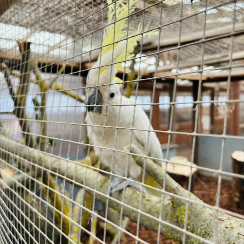 Mācību ekskursija uz Rundāles pili