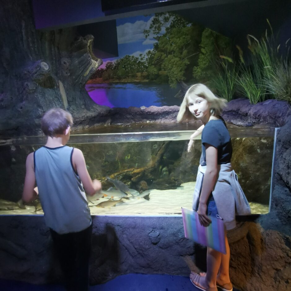 Jūras muzeja un Delfinārija apmeklēšana