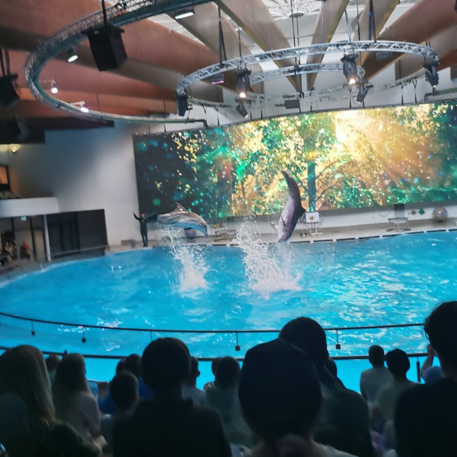 Jūras muzeja un Delfinārija apmeklēšana