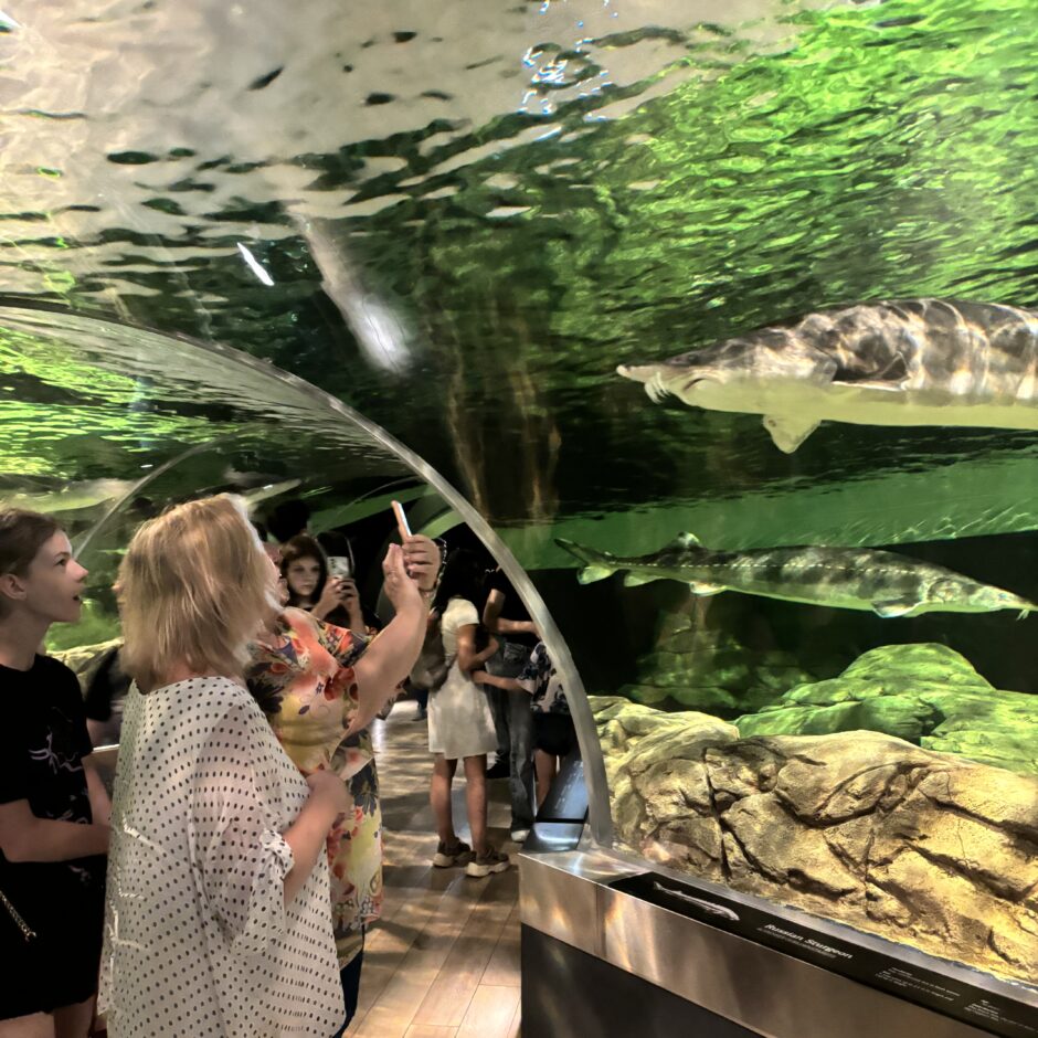 Jūras muzeja un Delfinārija apmeklēšana