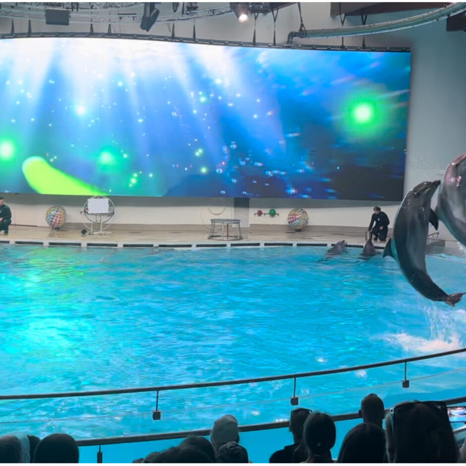 Jūras muzeja un Delfinārija apmeklēšana