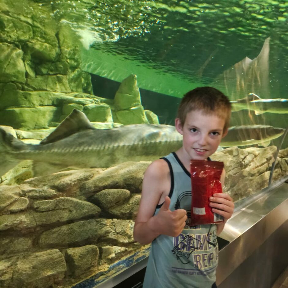 Jūras muzeja un Delfinārija apmeklēšana