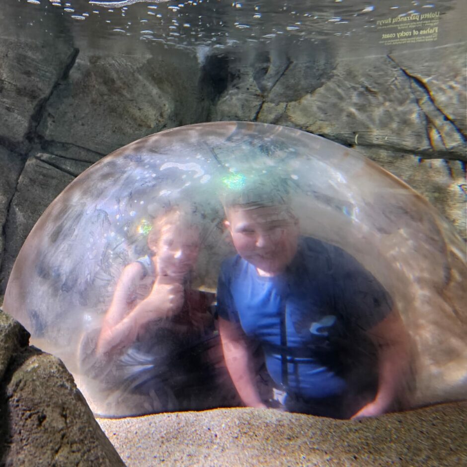 Jūras muzeja un Delfinārija apmeklēšana