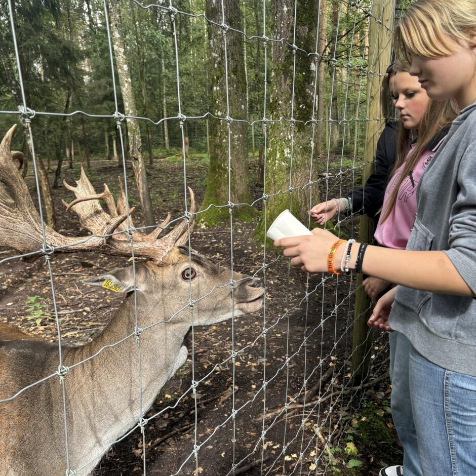 Jauniešu līdzdalības projekts Lēdmanē