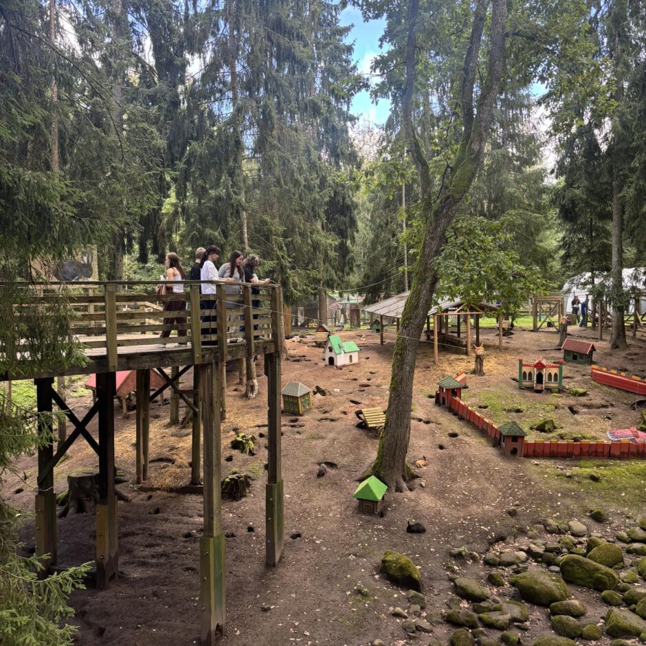 Jauniešu līdzdalības projekts Lēdmanē