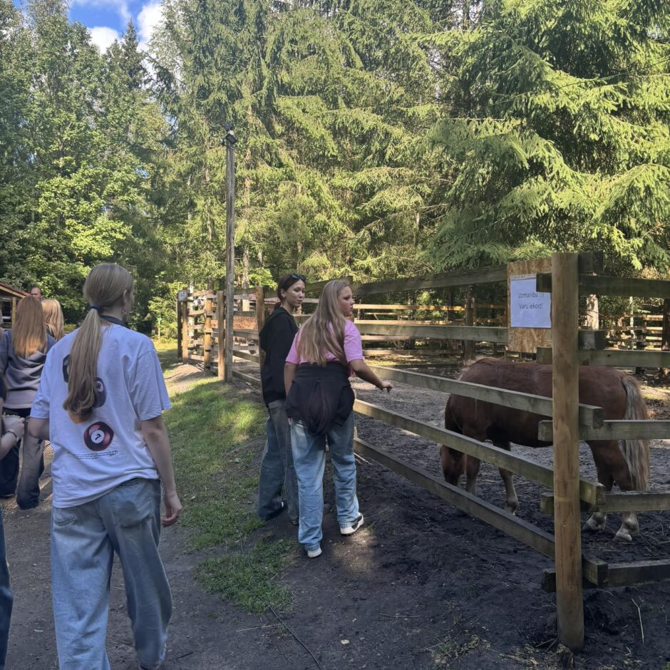 Jauniešu līdzdalības projekts Lēdmanē