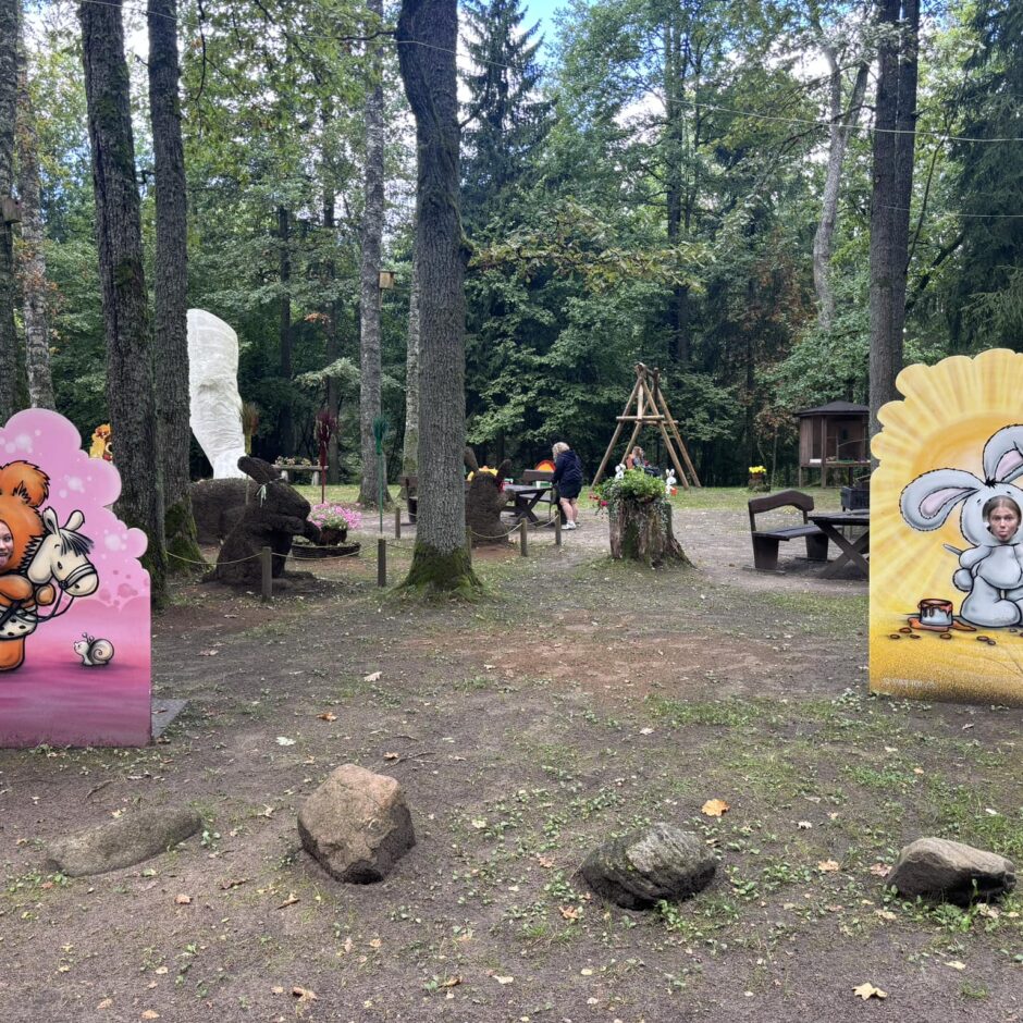 Jauniešu līdzdalības projekts Lēdmanē