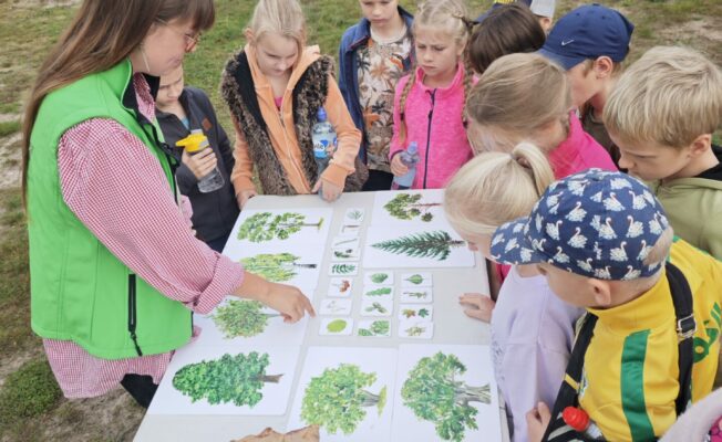 Meža zinības Ogres Zilajos kalnos
