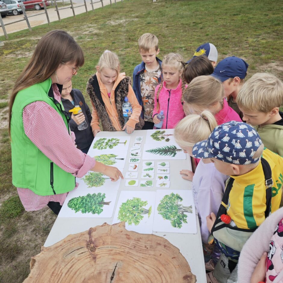 Meža zinības Ogres Zilajos kalnos
