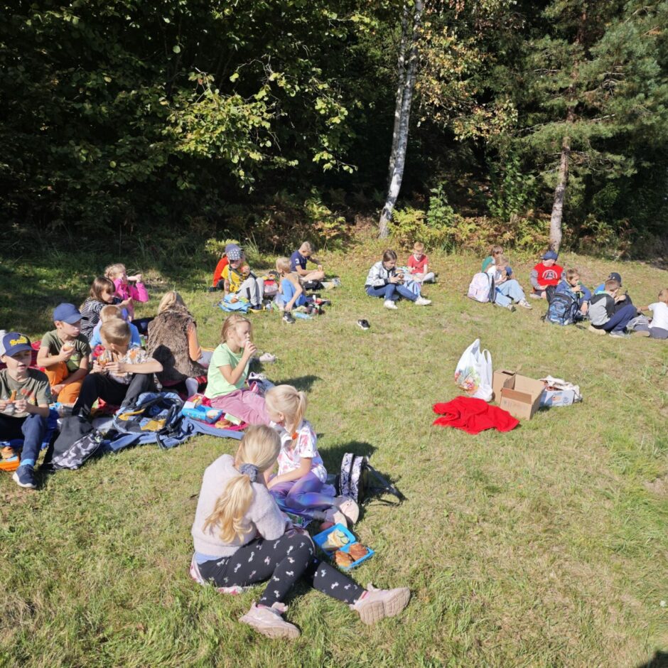 Meža zinības Ogres Zilajos kalnos