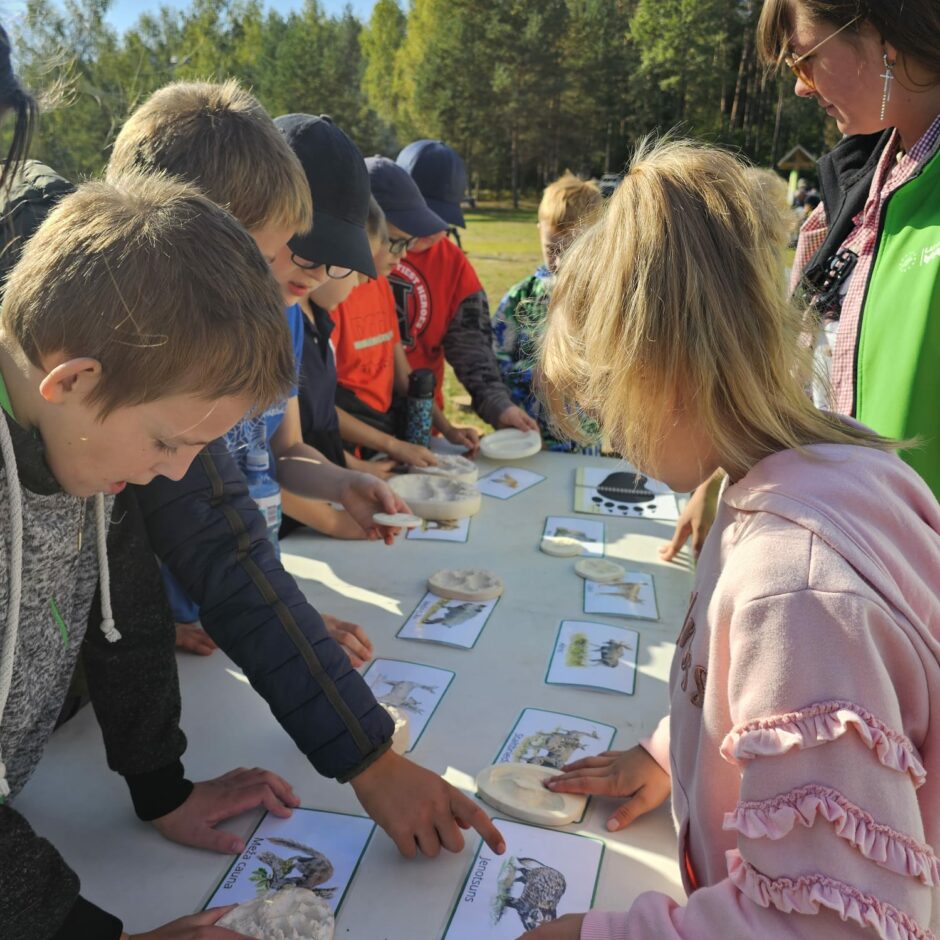 Meža zinības Ogres Zilajos kalnos
