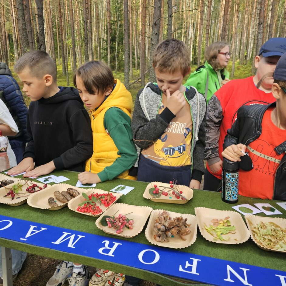 Meža zinības Ogres Zilajos kalnos