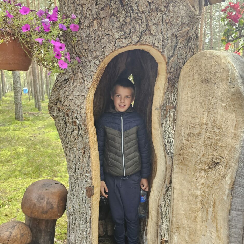 Meža zinības Ogres Zilajos kalnos