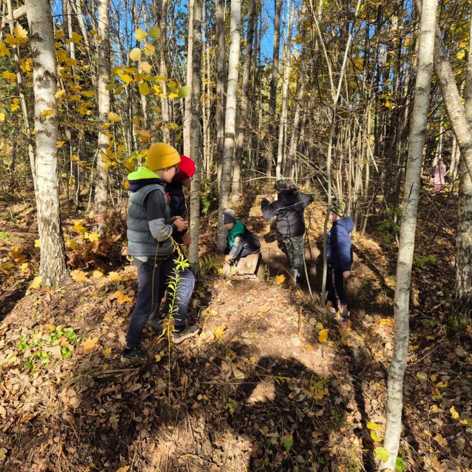 Ieskaties medniecības nozarē