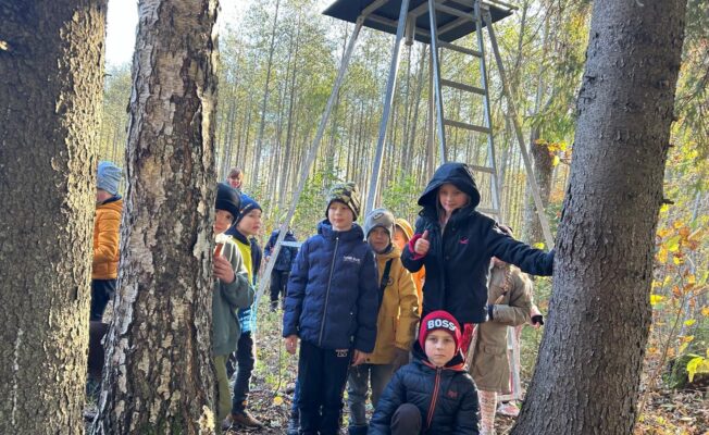 Ieskaties medniecības nozarē