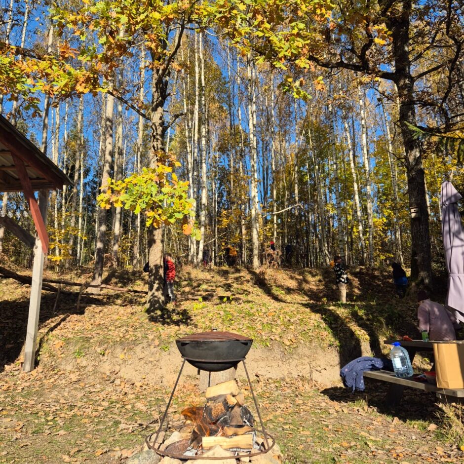 Ieskaties medniecības nozarē