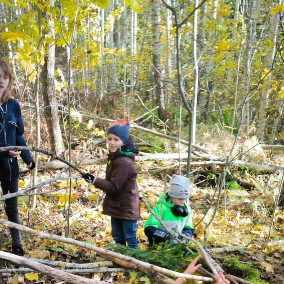 Ieskaties medniecības nozarē