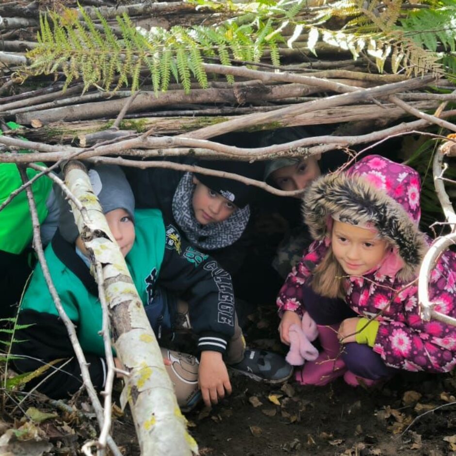 Ieskaties medniecības nozarē